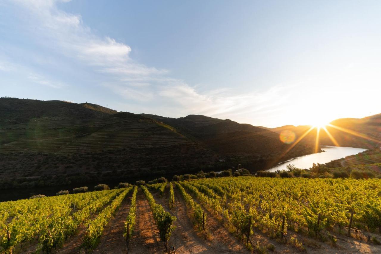Quinta De S. Jose - Turismo Rural Ervedosa do Douro Экстерьер фото