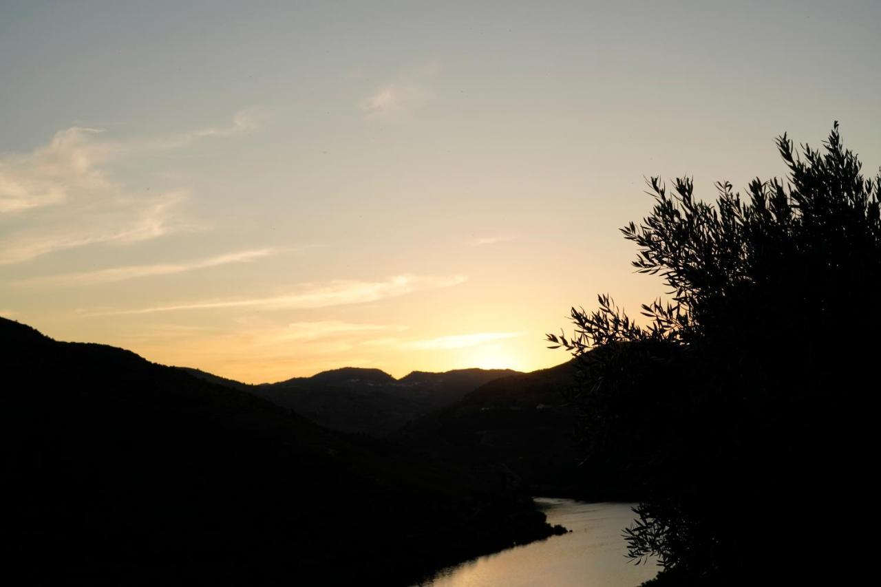 Quinta De S. Jose - Turismo Rural Ervedosa do Douro Экстерьер фото